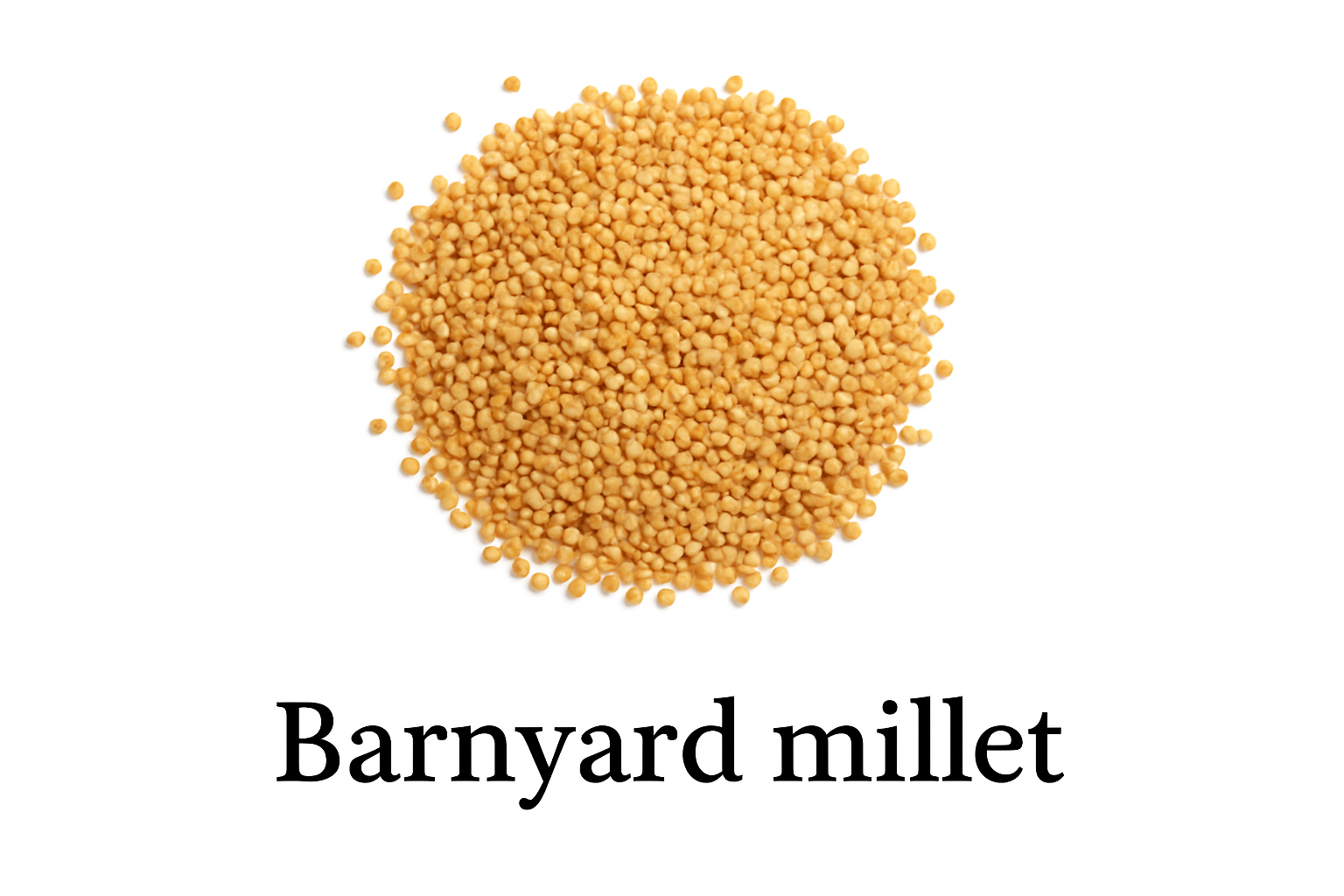 Kuthiraivali (Barnyard Millet) 500 g